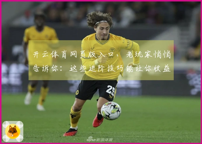 开云体育网页版入口，老玩家悄悄告诉你：这些进阶技巧能让你收益翻倍！