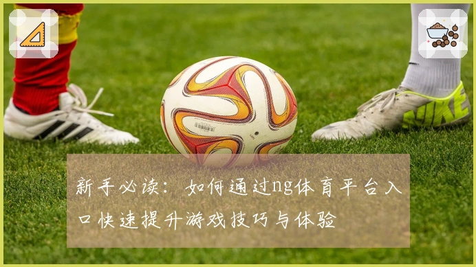 新手必读：如何通过ng体育平台入口快速提升游戏技巧与体验