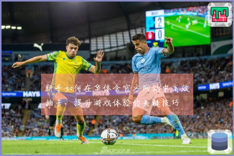 新手如何在华体会官方网站中高效抽卡，提升游戏体验的关键技巧