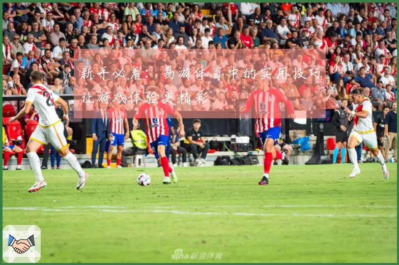 新手必看：易游体育中的实用技巧让游戏体验更精彩