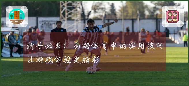 新手必看：易游体育中的实用技巧让游戏体验更精彩