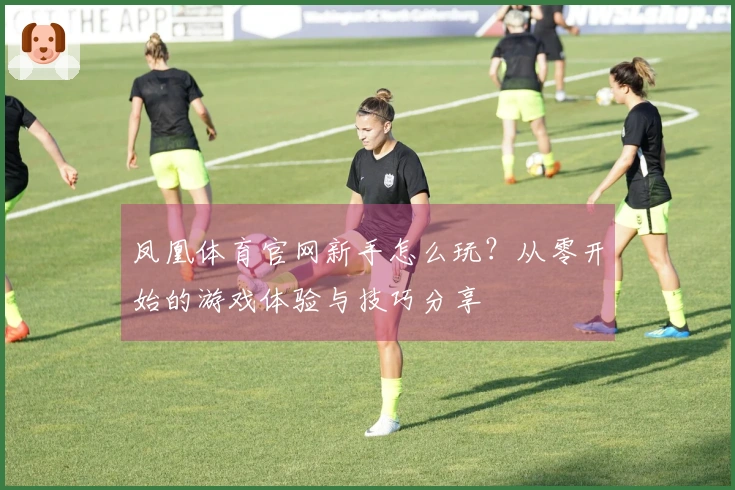 凤凰体育官网新手怎么玩？从零开始的游戏体验与技巧分享