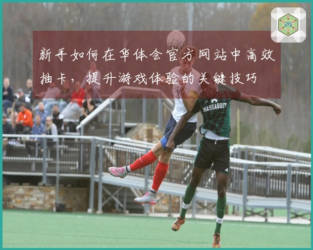 新手如何在华体会官方网站中高效抽卡，提升游戏体验的关键技巧